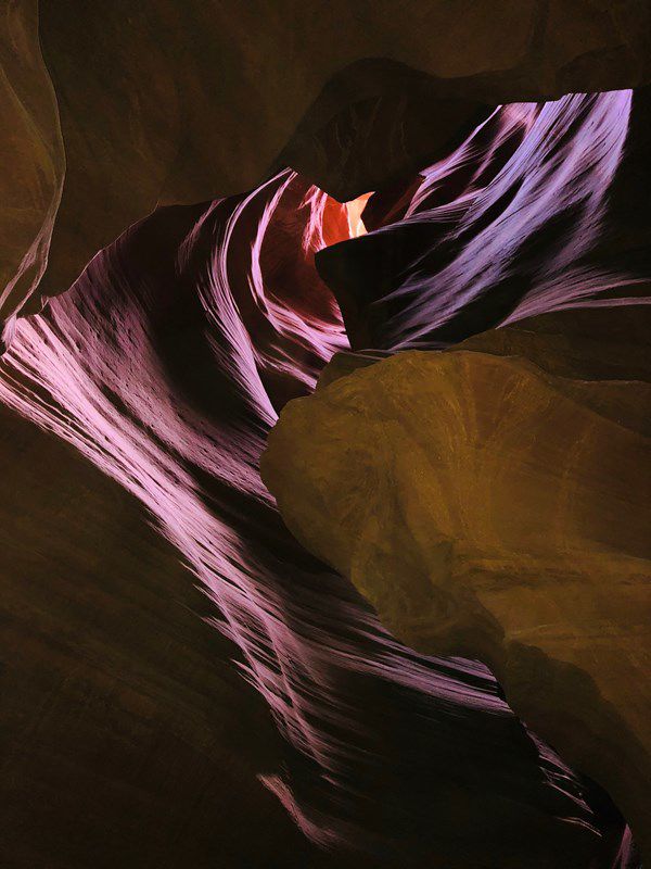 Purple Sage